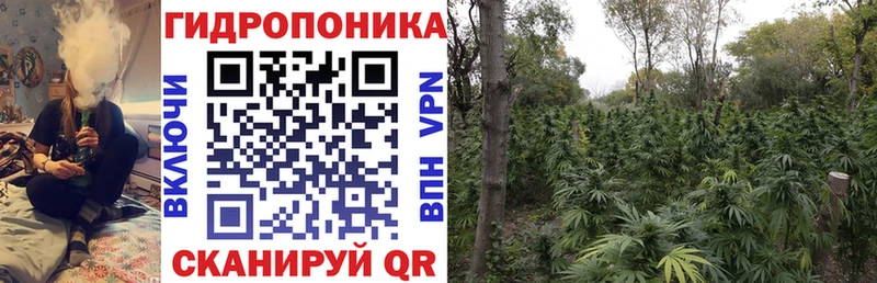 МАРИХУАНА план Западная Двина